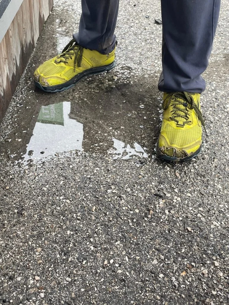 Calzava scarpe da ginnastica